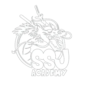 Home 5 SSJ Academy